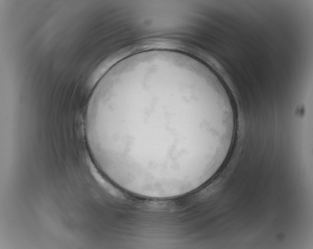 X0000113131433200910021405