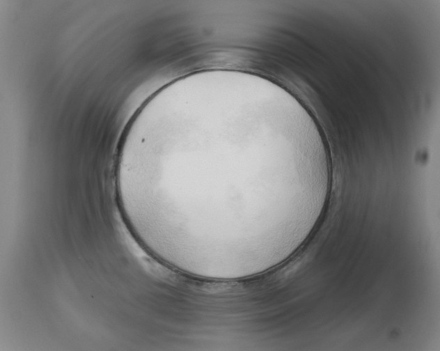 X0000113131434200910021405