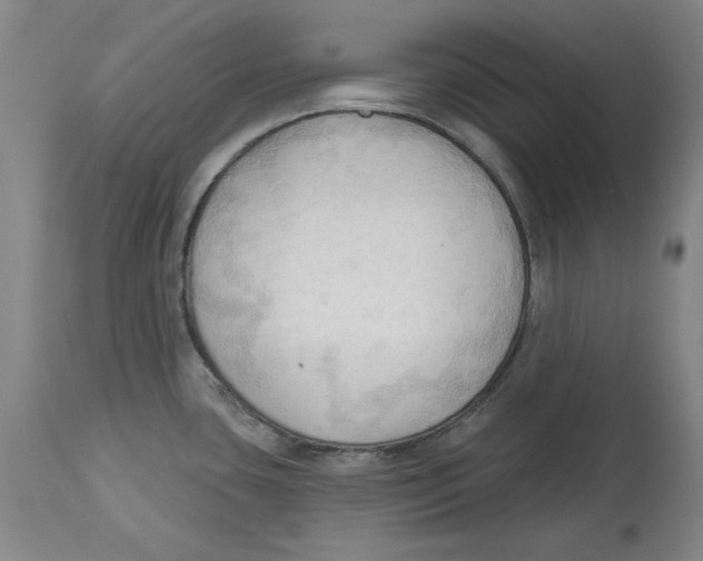 X0000113131435200910021405