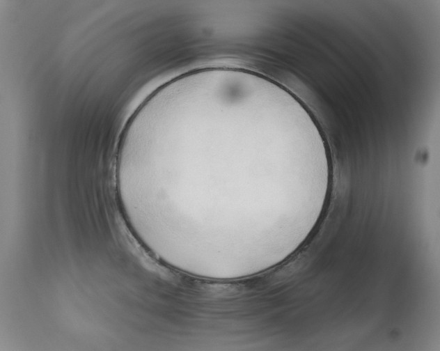 X0000113131436200910021405