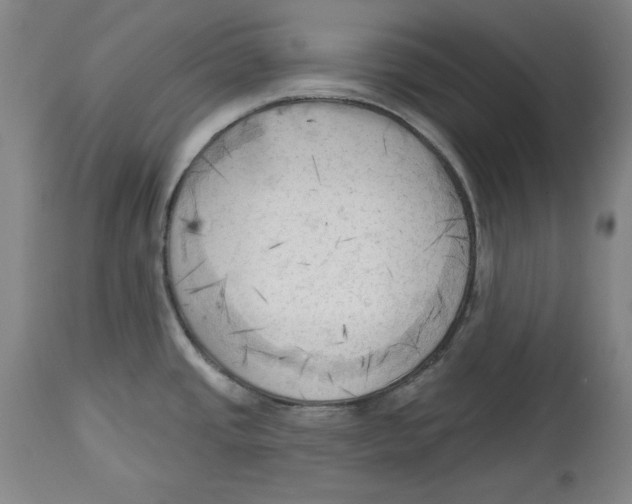 X0000113131437200910021405