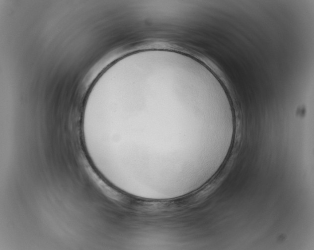 X0000113131438200910021405