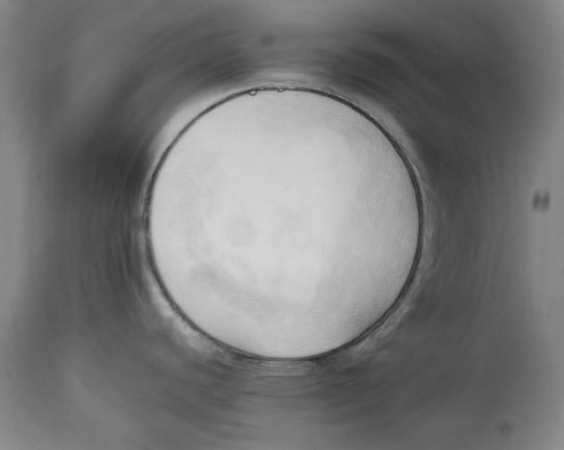 X0000113131440200910021405