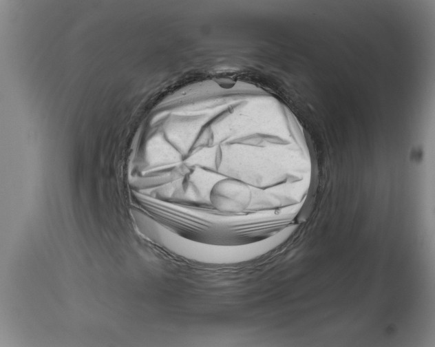 X0000113131441200910021405