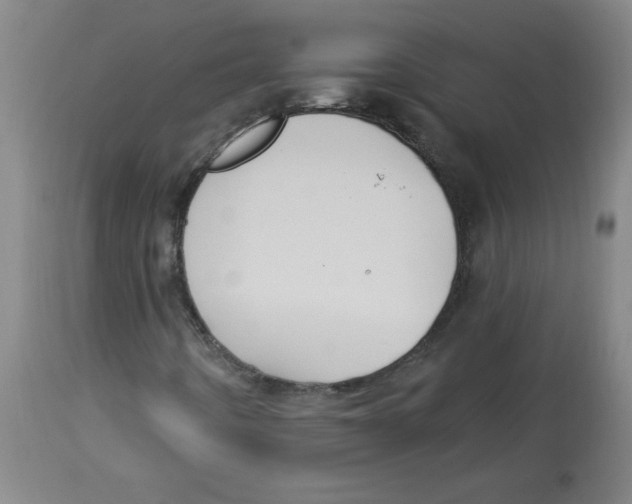 X0000113131442200910021405