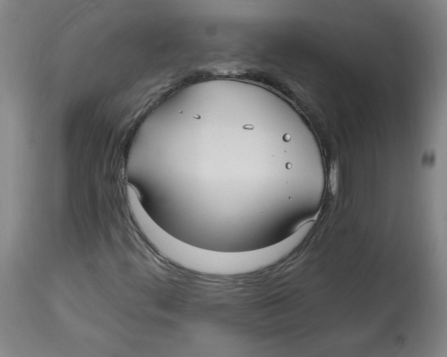 X0000113131444200910021404