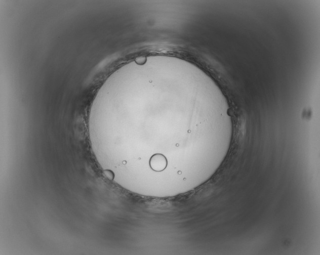 X0000113131446200910021404