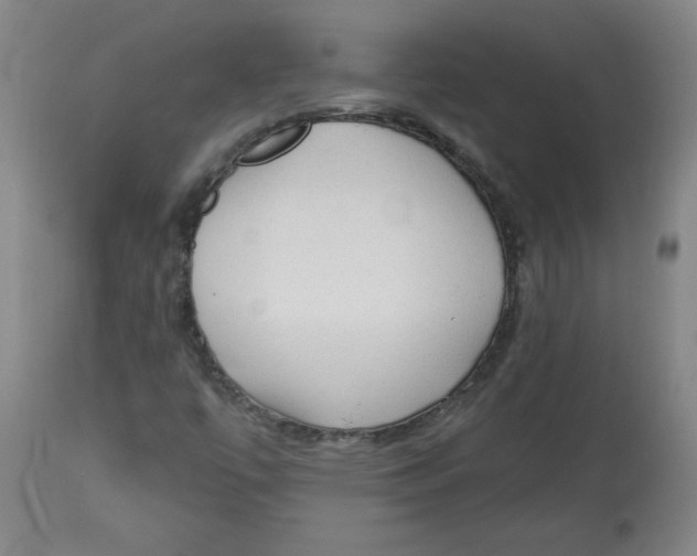 X0000113131447200910021404