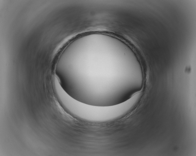 X0000113131452200910021404