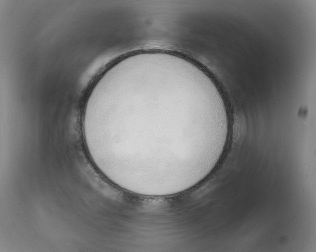 X0000113131454200910021404