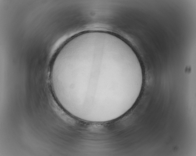 X0000113131462200910021404