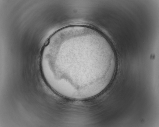 X0000113131463200910021404