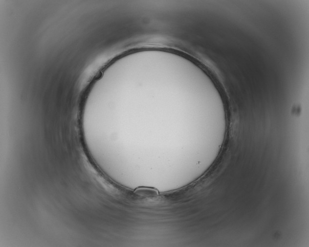 X0000113131464200910021404