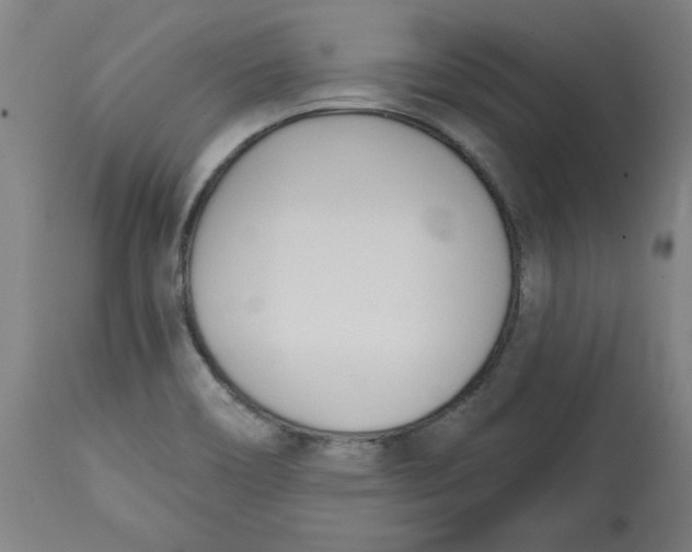 X0000113131466200910021404