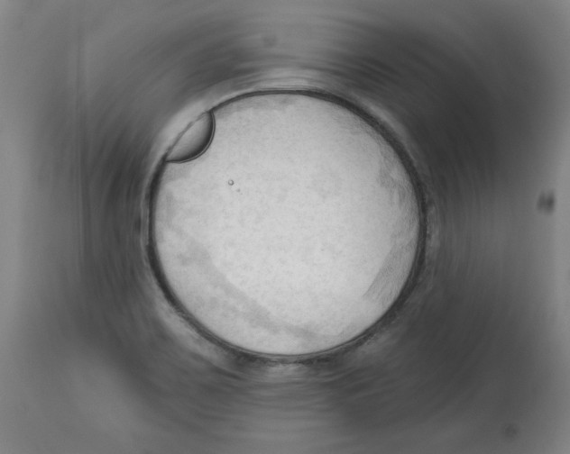 X0000113131467200910021404