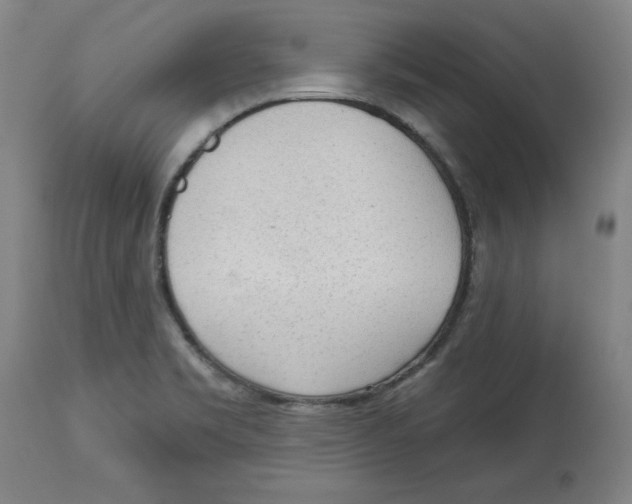 X0000113131469200910021404