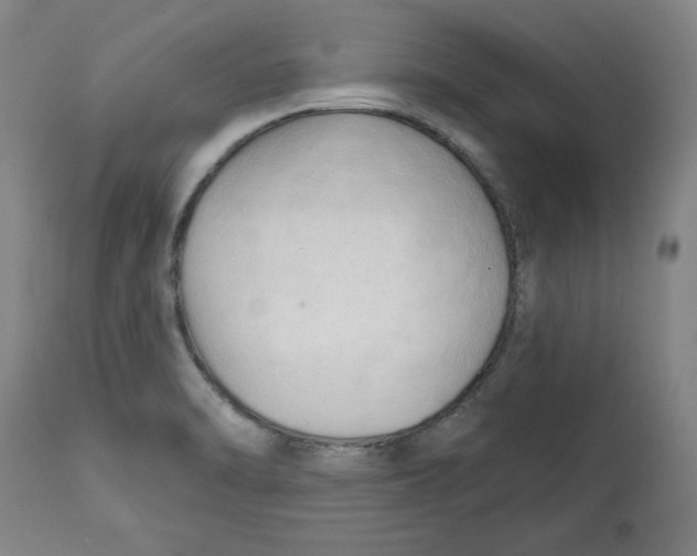 X0000113131470200910021404