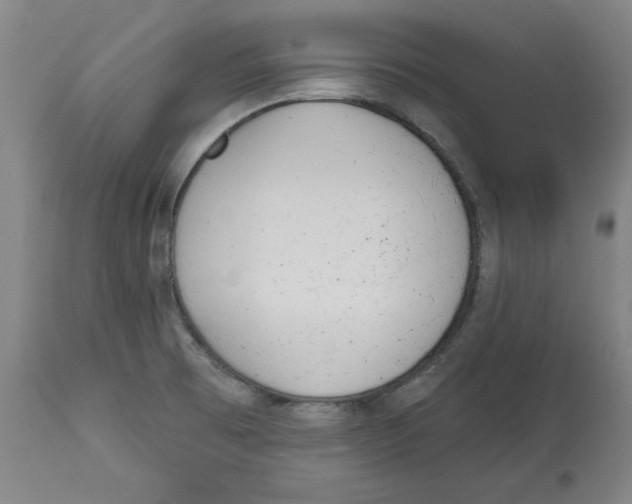 X0000113131473200910021404