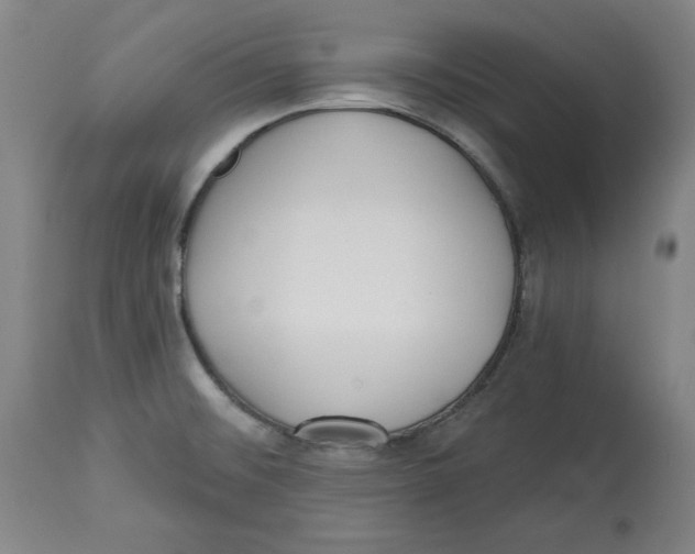 X0000113131476200910021404