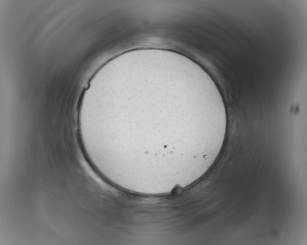 X0000113131479200910021404