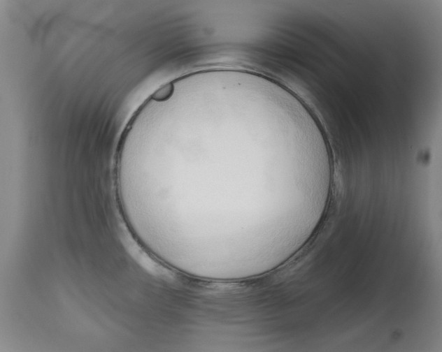 X0000113131482200910021404