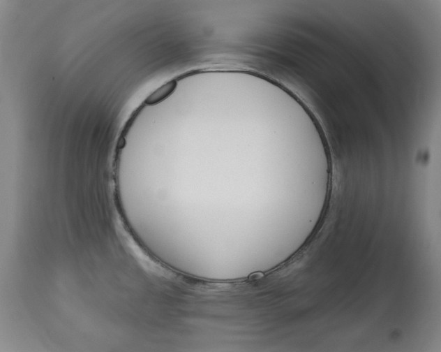 X0000113131485200910021404