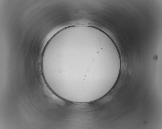 X0000113131486200910021404