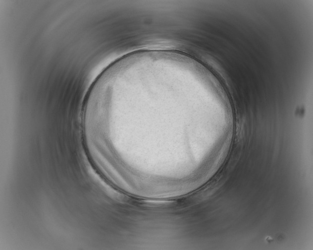 X0000113131487200910021404