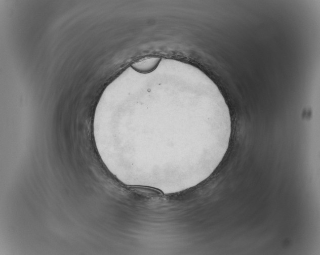 X0000113131489200910021403