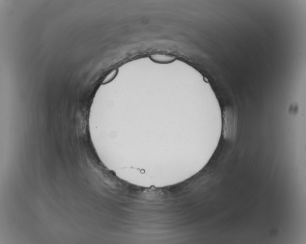 X0000113131491200910021403