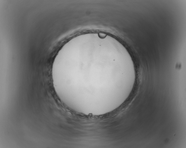 X0000113131494200910021403