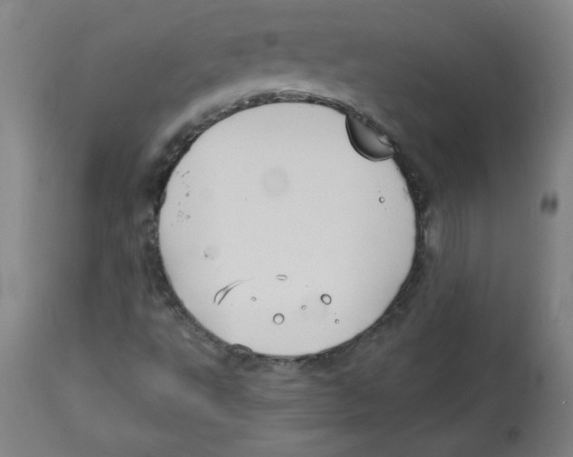 X0000113131495200910021403