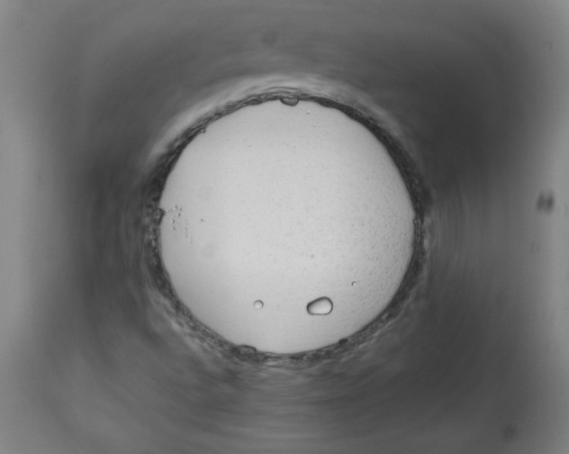 X0000113131496200910021403