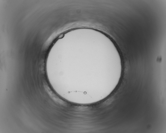 X0000113131499200910021403