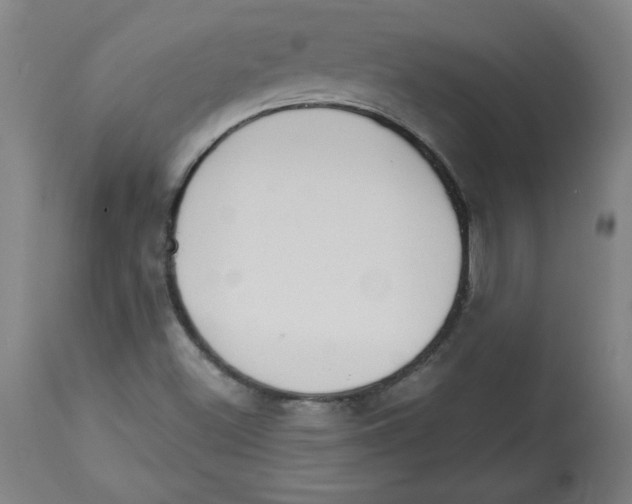 X0000113131500200910021403