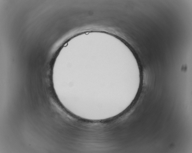 X0000113131502200910021403