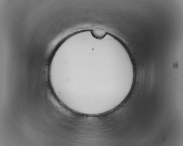 X0000113131503200910021403