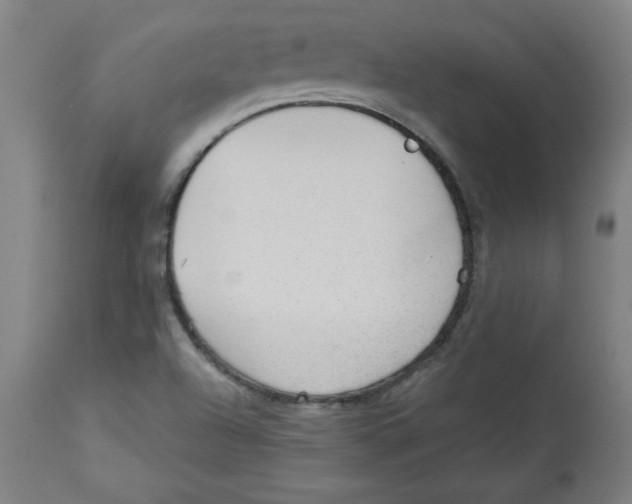 X0000113131504200910021403