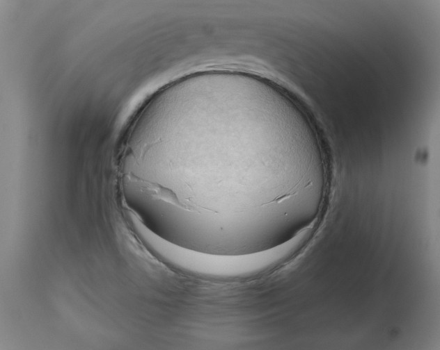 X0000113131506200910021403