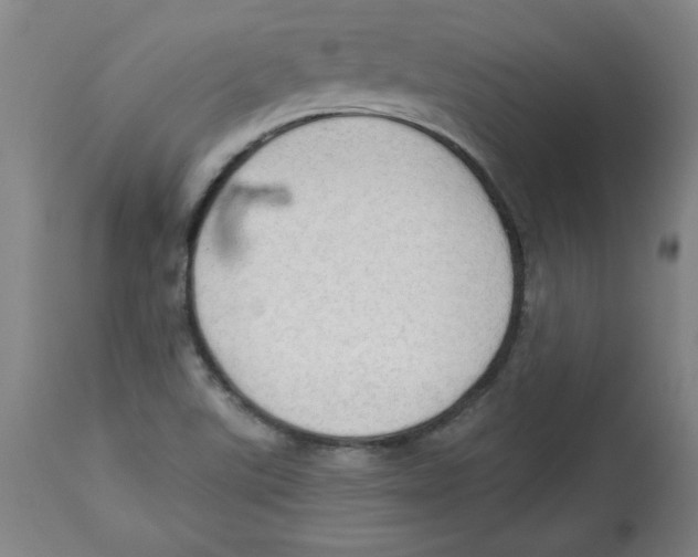 X0000113131507200910021403