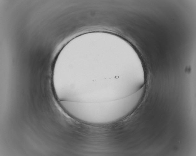 X0000113131508200910021403