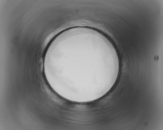 X0000113131509200910021403