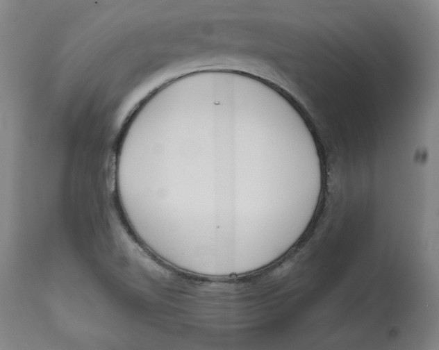 X0000113131510200910021403