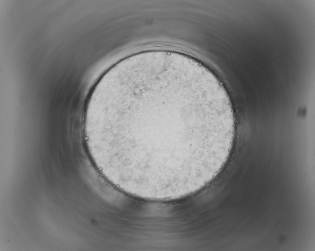 X0000113131514200910021403