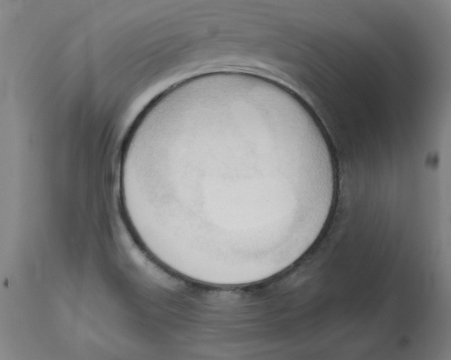 X0000113131515200910021403