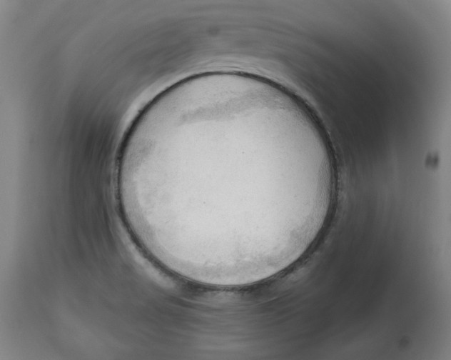 X0000113131517200910021404