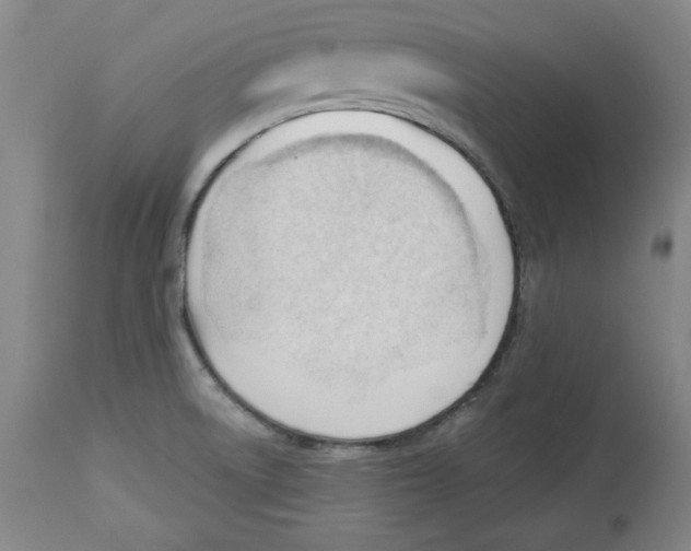 X0000113131522200910021404