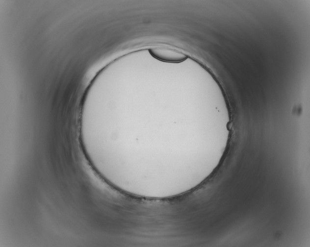 X0000113131526200910021404