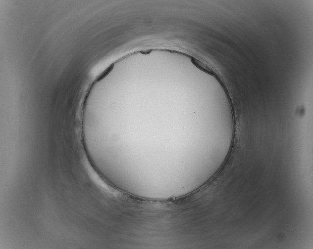 X0000113131528200910021404