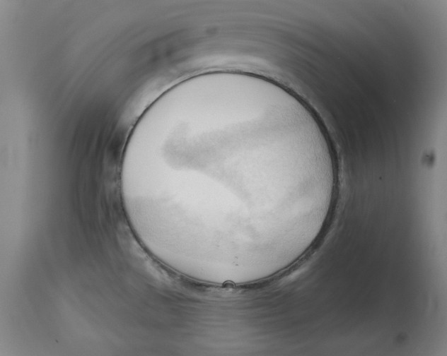 X0000113131529200910021404